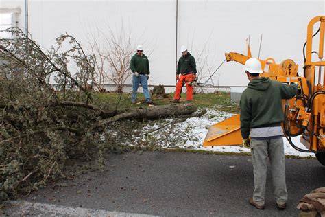 Easy Tree Removal Tomlinson Bomberger