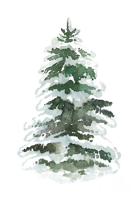 Evergreen Tree Covered In Snow Painting By Joanna Szmerdt Fine Art
