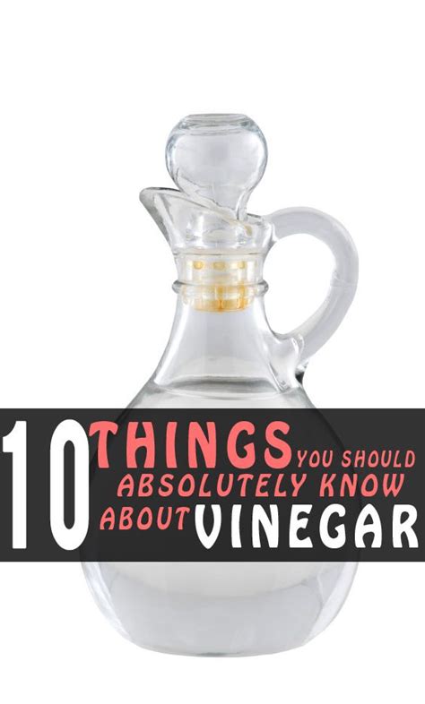 10 Things You Should Absolutely Know About Vinegar Health Tips Diy