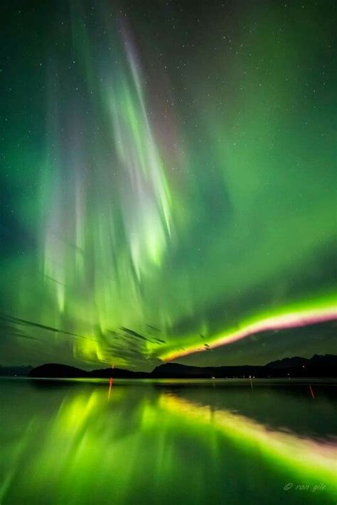 Juneau Alaska Aurora Borealis Northern Lights Northern Lights Aurora