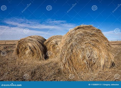 Close Up Of Fresh Hay Bundles Stock Image Image Of Land Crop 110080913