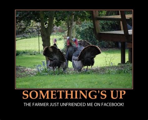 Submitted 1 year ago by rscam. The Best Thanksgiving Memes This Year