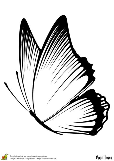 Coloriage Papillon Profil Simple Dessin Papillon Comment Dessiner Un