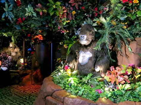 After 17 Years Rainforest Café On Fishermans Wharf Shutters