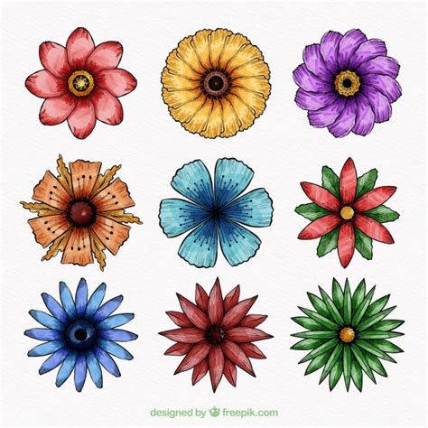 Set De Flores Dibujadas A Mano Vector Gratis