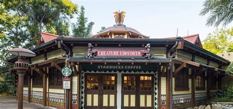 Gift card terms and conditions are subject to change by starbucks, please check starbucks website for more details. Can I Use Starbucks Gift Cards and the App to Purchase Drinks at Disney? - MickeyBlog.com