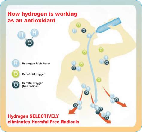 Molecular Hydrogen Therapy Absolute Ozone