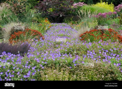 Traditional English Garden With Perennials Stock Photo Alamy