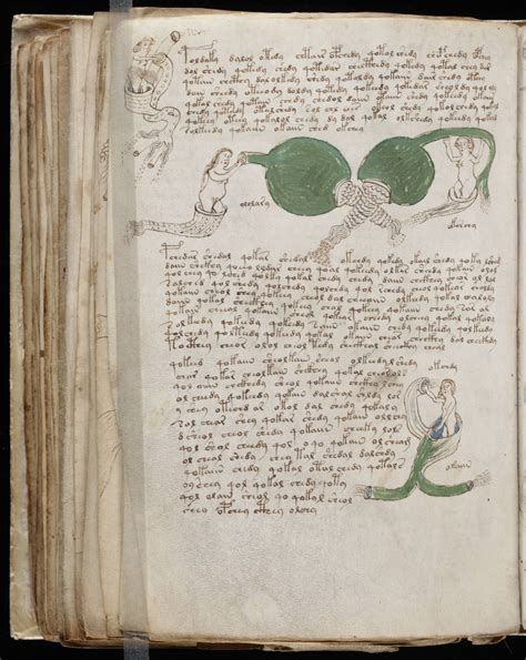The Voynich Manuscript And The Kolbrin Bible