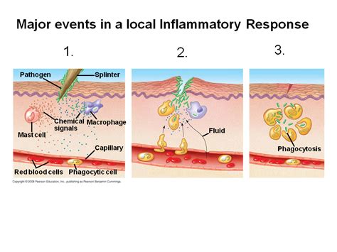 Innate Immune System Evasion By Pathogens