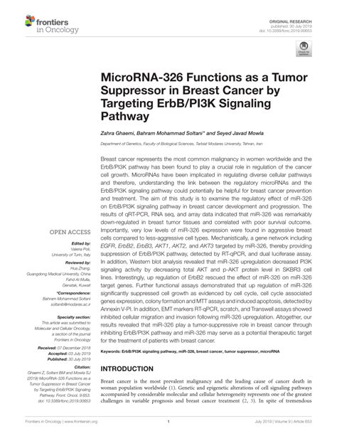pdf microrna 326 functions as a tumor suppressor in breast cancer by targeting erbb pi3k