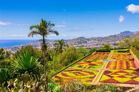 Best Things To Do This Summer On Madeira Island Make The Most Of Your Summer On Madeira