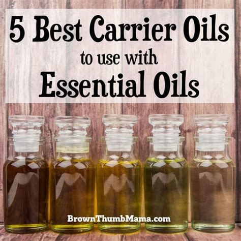The 5 Best Carrier Oils For Essential Oils Brown Thumb Mama
