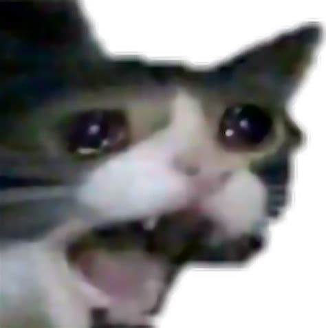 Download Sad Cat Meme Drawing Png And  Base