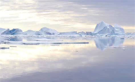 Icebergs This Image Shows A Bay Full Of Icebergs Located In The