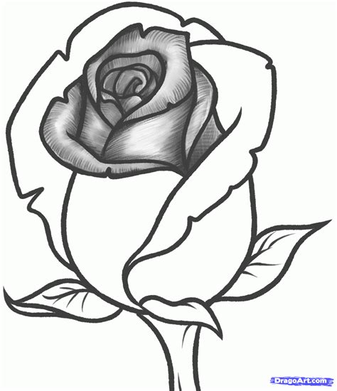 Just Simple Blog How To Draw A Rose Bud