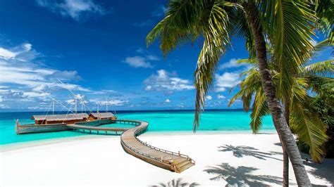 ¿qué Isla De Las Maldivas Es Perfecta Para Ti Felices Vacaciones