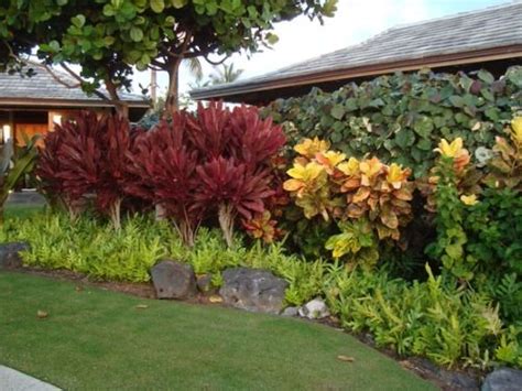 25 Stunning Landscaping With Croton Pictures
