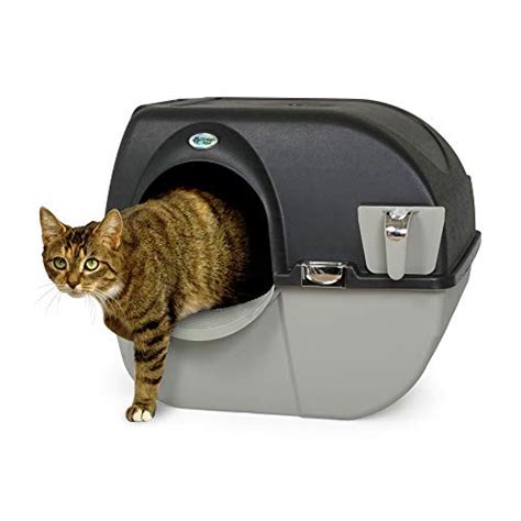 The 5 Best Self Cleaning Litter Boxes 2023 Pet Cat Friends