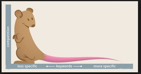 What Is Long Tail Marketing And How To Do Long Tail Marketing