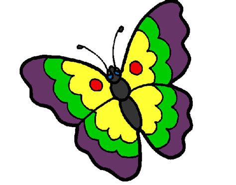 Dibujo De La Mariposa Colorida Pintado Por Davalos En Dibujos Net El