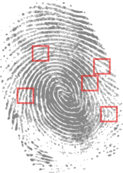 Fingerprinting with machine vision