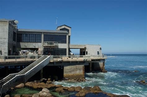 Monterey Bay Aquarium Free Admission For Locals Dec 2 10