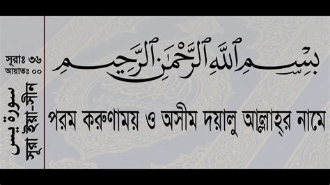 Surah Yasin With Bangla Translation Recited By Mishari Al Afasy সূরা