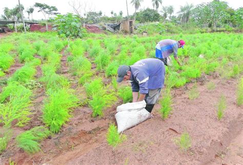 He plays for aek in football manager 2021. Marco normativo de la agricultura orgánica - Ing. Agr ...