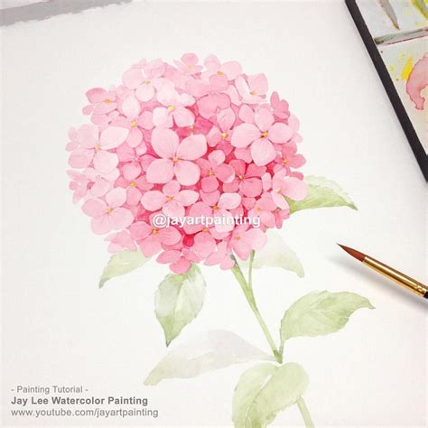 How To Paint A Hydrangea In Watercolor Jayartpainting