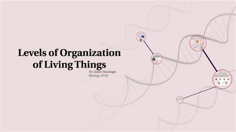 Levels Of Organization Of Living Things By Jolyn Rani