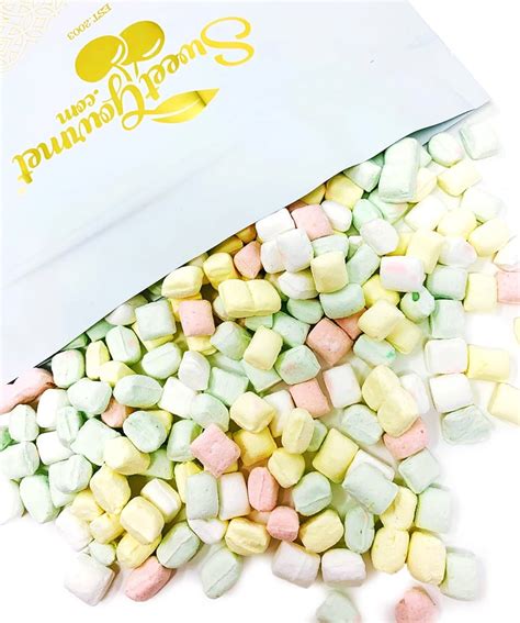 Sweetgourmet Pastel Mints After Dinner Bulk Mint Candy 3 Pounds