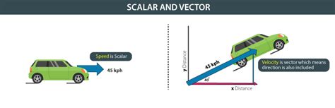 Scalar and vector quantities are treated differently in calculations. Scalar and Vector - Scalar Quantity and Vector Quantity ...