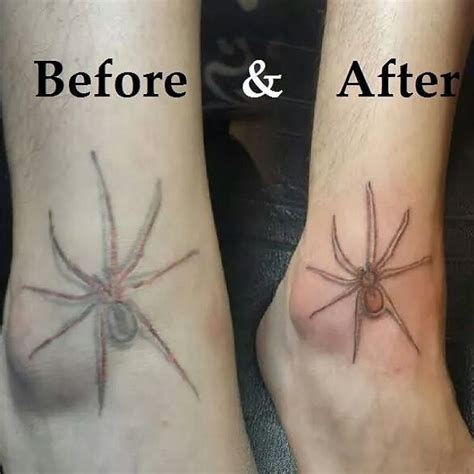 Brown Recluse Spider Inkbyjordy Inkbyjordy Ink Tattoo Flickr