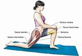 Rectus Femoris Muscle Exercises