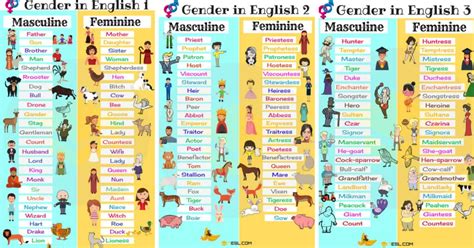 Gender Of Nouns Useful Masculine And Feminine List 7esl