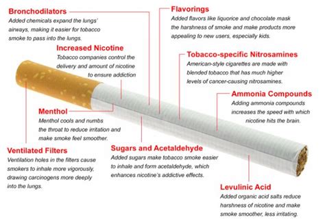 We're flavored cigarettes like those above more expensive than a normal pack of camel filters when they were available? Cigarettes: More Dangerous Than Before