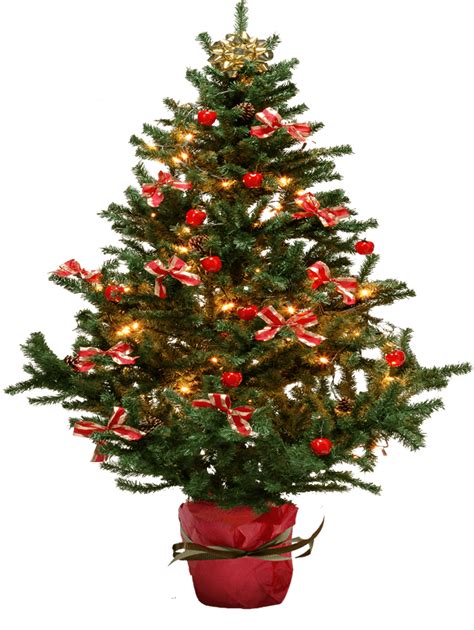 Choose from 19000+ christmas tree graphic resources and download in the form of png, eps, ai or psd. Download Christmas Fir-Tree Png Image HQ PNG Image | FreePNGImg