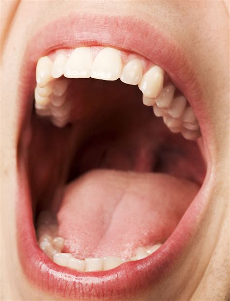 They are tuned to it. Beyond Teeth: What's Inside Your Mouth | Dewdney Dental ...