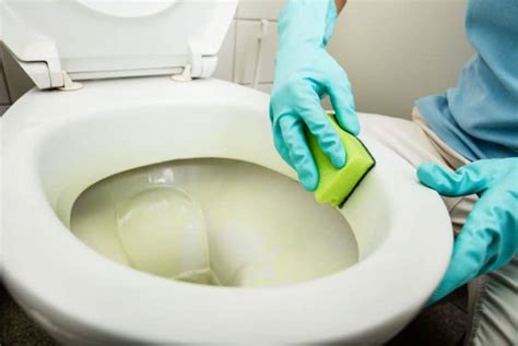 How To Clean A Very Stained Toilet Bowl Homely Ville
