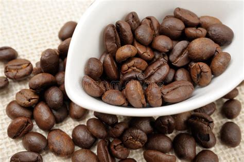 Roasted Coffee Beans Stock Image Image Of Caffeine Healthy 26277673