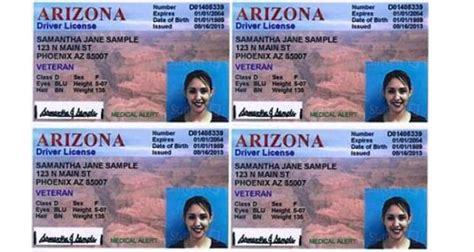 Sample Arizona Drivers License Rangalley