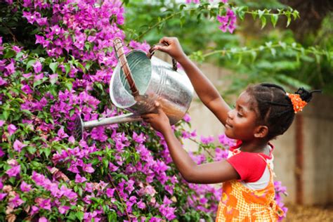 African Gardener Stock Photo Download Image Now Istock