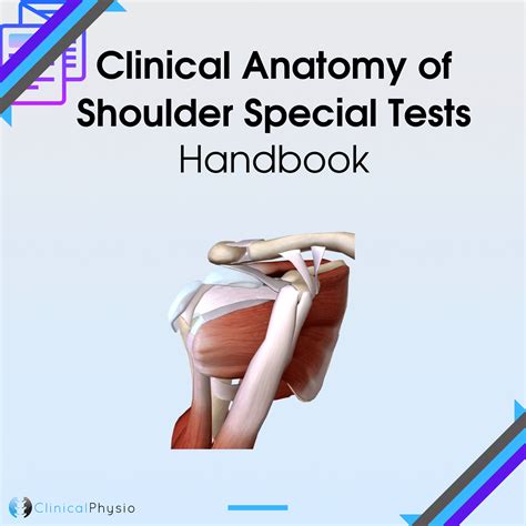 Clinical Anatomy Of Shoulder Special Tests Handbook Clinical Physio