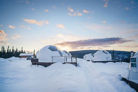 my stay at the borealis basecamp fairbanks alaska alaska travel alaska fairbanks alaska