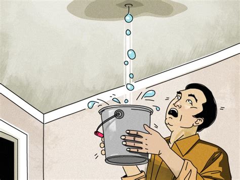 What is water leaking from ceiling: How to Repair Common Problems on Walls, Doors and Floors | DIY
