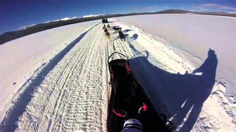 Alpine Adventures Dogsledding Vail Colorado 2014 Youtube