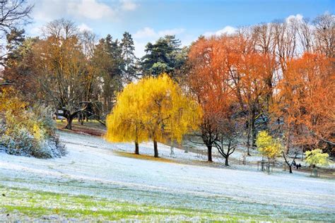 The First Snow In The Autumn Park Stock Image Image Of Park Autumn