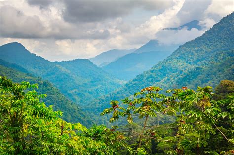 Everything You Wanted To Know About The Amazon Rainforest Climate