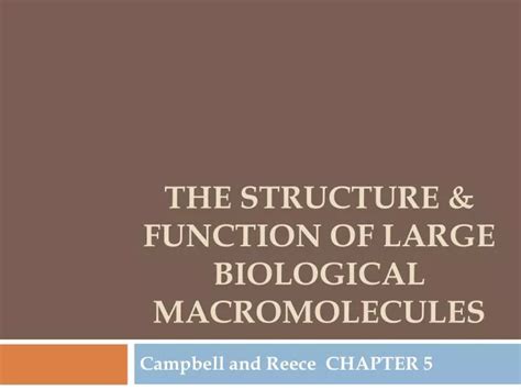Ppt The Structure And Function Of Large Biological Macromolecules